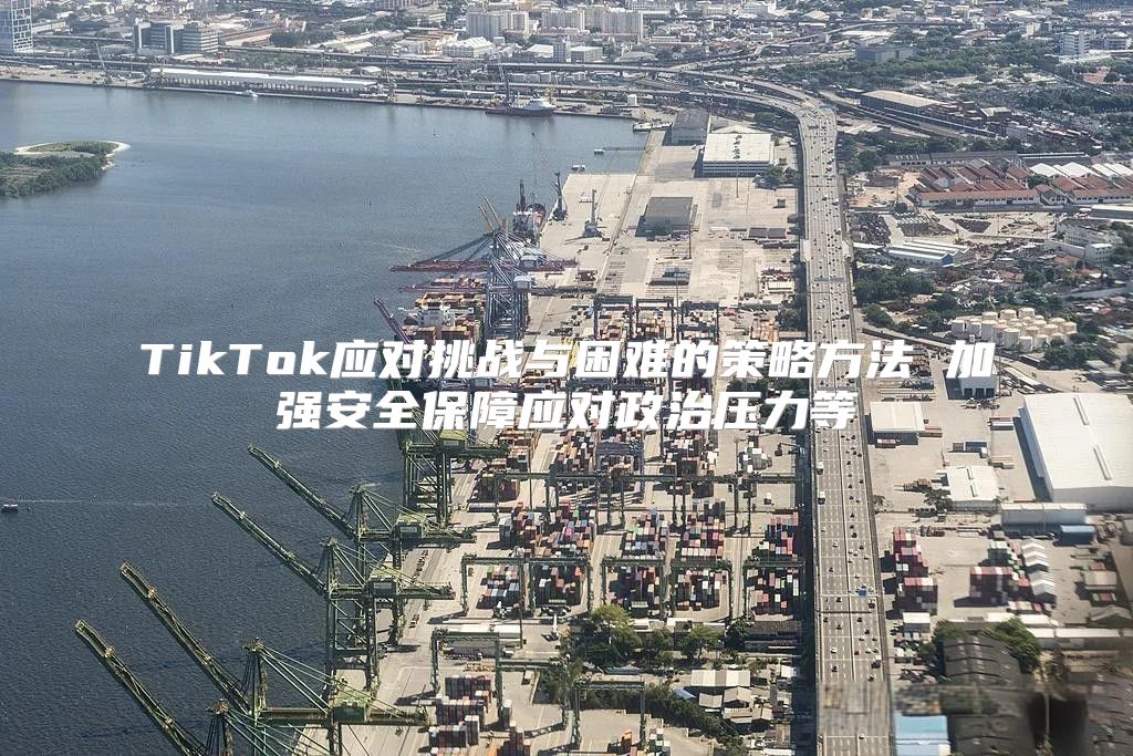 TikTok应对挑战与困难的策略方法 加强安全保障应对政治压力等