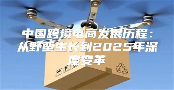 中国跨境电商发展历程：从野蛮生长到2025年深度变革