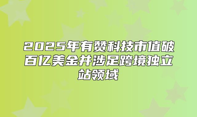 2025年有赞科技市值破百亿美金并涉足跨境独立站领域
