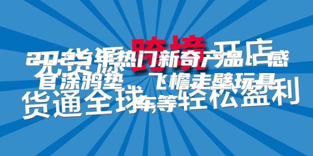 2025年热门新奇产品：感官涂鸦垫、飞檐走壁玩具车等