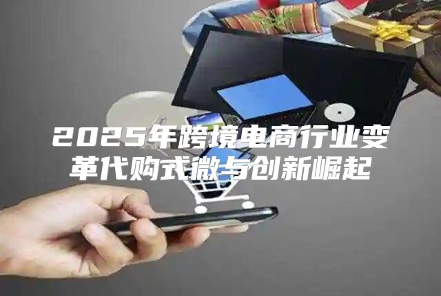 2025年跨境电商行业变革代购式微与创新崛起