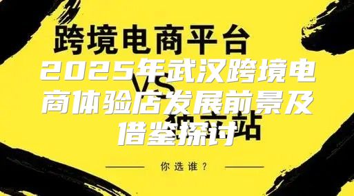 2025年武汉跨境电商体验店发展前景及借鉴探讨