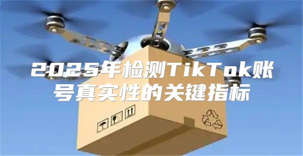 2025年检测TikTok账号真实性的关键指标