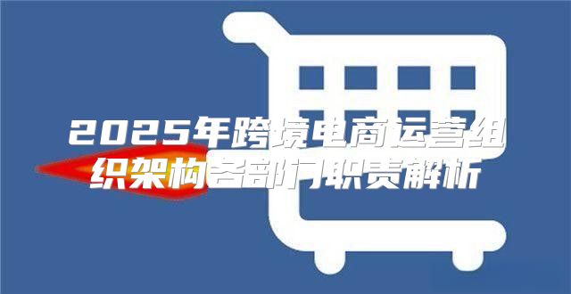 2025年跨境电商运营组织架构各部门职责解析