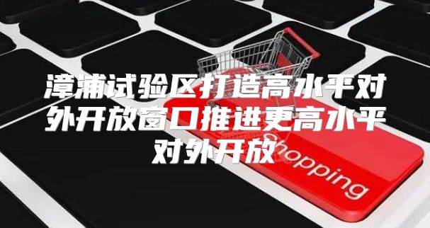 漳浦试验区打造高水平对外开放窗口推进更高水平对外开放