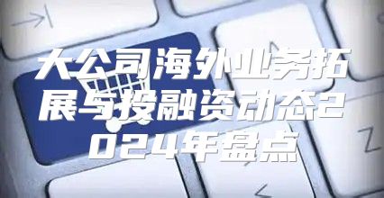 大公司海外业务拓展与投融资动态2025年盘点