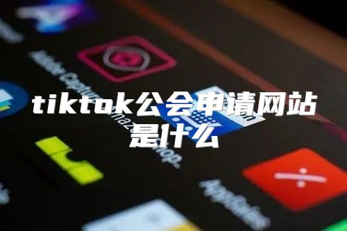 tiktok公会申请网站是什么