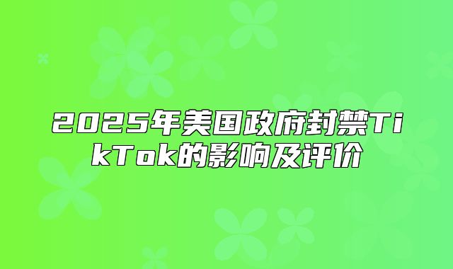 2025年美国政府封禁TikTok的影响及评价