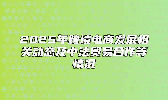 2025年跨境电商发展相关动态及中法贸易合作等情况
