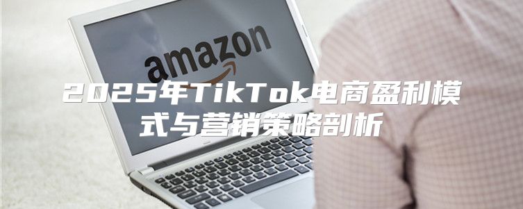 2025年TikTok电商盈利模式与营销策略剖析