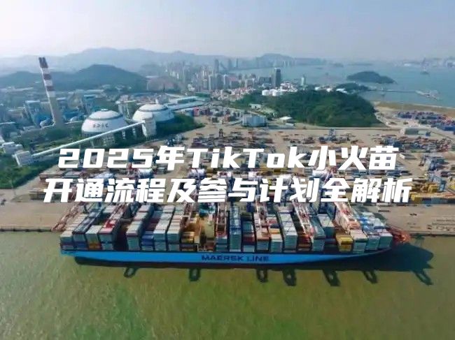 2025年TikTok小火苗开通流程及参与计划全解析