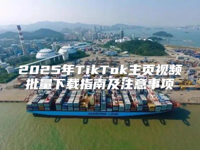 2025年TikTok主页视频批量下载指南及注意事项