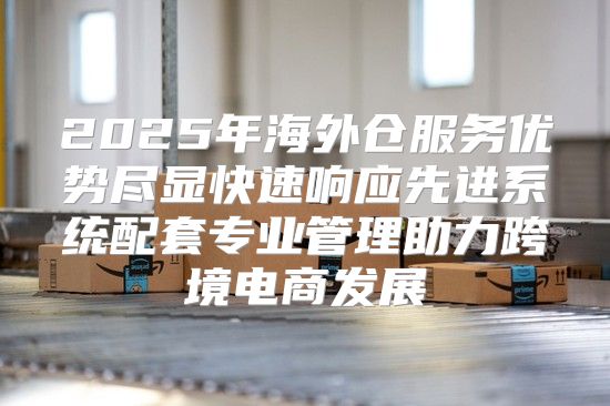 2025年海外仓服务优势尽显快速响应先进系统配套专业管理助力跨境电商发展