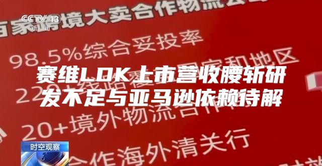 赛维LDK上市营收腰斩研发不足与亚马逊依赖待解
