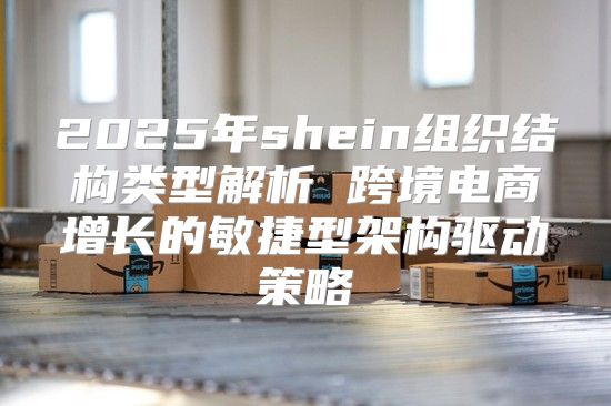 2025年shein组织结构类型解析 跨境电商增长的敏捷型架构驱动策略