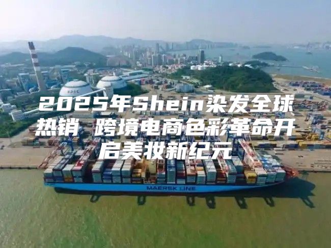 2025年Shein染发全球热销 跨境电商色彩革命开启美妆新纪元