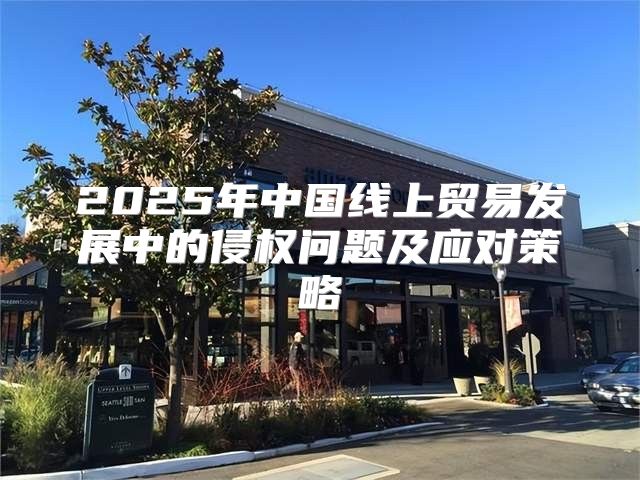 2025年中国线上贸易发展中的侵权问题及应对策略