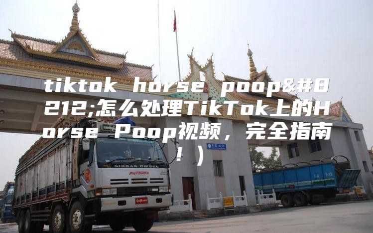 tiktok horse poop—怎么处理TikTok上的Horse Poop视频，完全指南！)