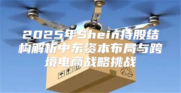 2025年Shein持股结构解析中东资本布局与跨境电商战略挑战