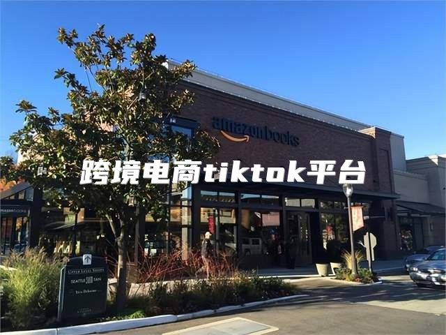 跨境电商tiktok平台