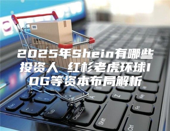 2025年Shein有哪些投资人 红杉老虎环球IDG等资本布局解析