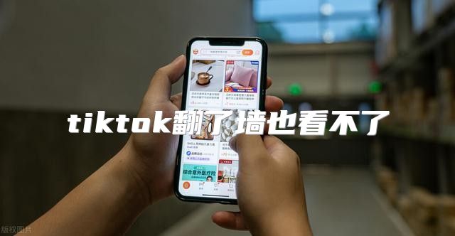 tiktok翻了墙也看不了