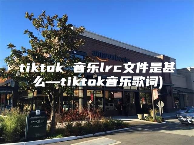 tiktok 音乐lrc文件是甚么—tiktok音乐歌词)