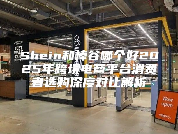 Shein和棒谷哪個好2025年跨境電商平臺消費者選購深度對比解析