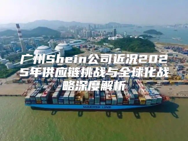 广州Shein公司近况2025年供应链挑战与全球化战略深度解析