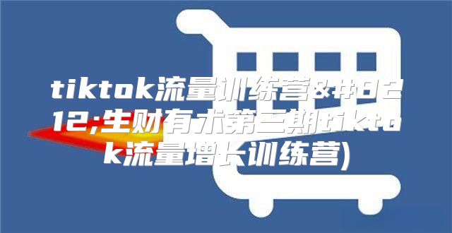 tiktok流量训练营—生财有术第三期tiktok流量增长训练营)