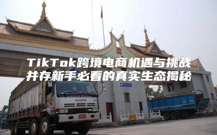 TikTok跨境电商机遇与挑战并存新手必看的真实生态揭秘