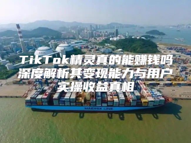 TikTok精灵真的能赚钱吗深度解析其变现能力与用户实操收益真相
