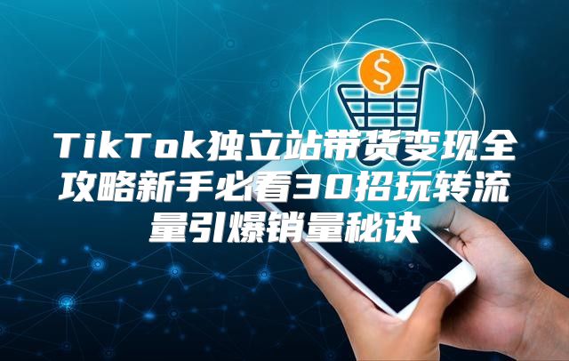 TikTok独立站带货变现全攻略新手必看30招玩转流量引爆销量秘诀