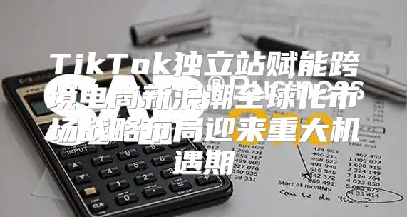 TikTok独立站赋能跨境电商新浪潮全球化市场战略布局迎来重大机遇期