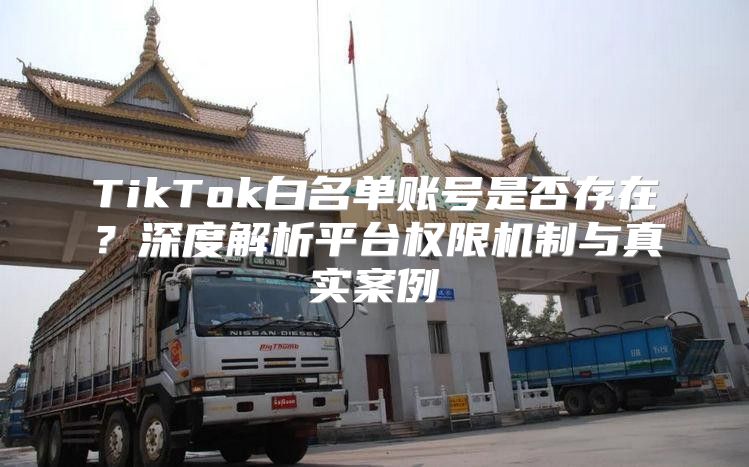 TikTok白名单账号是否存在？深度解析平台权限机制与真实案例
