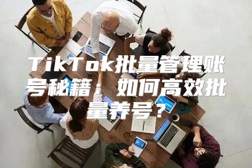 TikTok批量管理账号秘籍：如何高效批量养号？