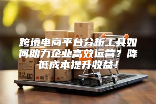 跨境电商平台分析工具如何助力企业高效运营？降低成本提升收益！