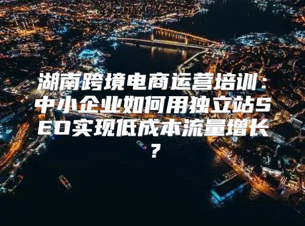 湖南跨境电商运营培训：中小企业如何用独立站SEO实现低成本流量增长？