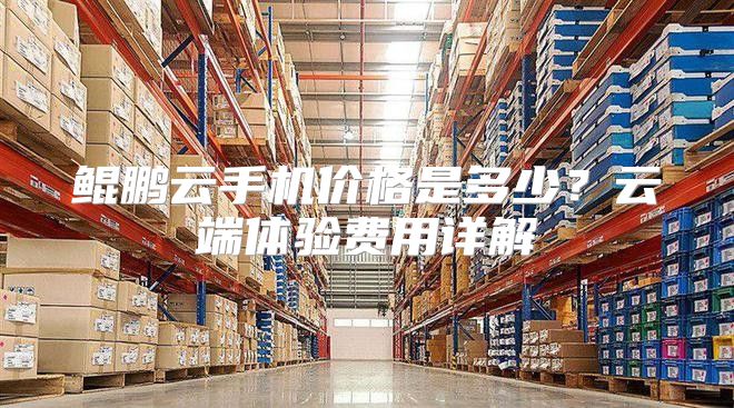鲲鹏云手机价格是多少？云端体验费用详解