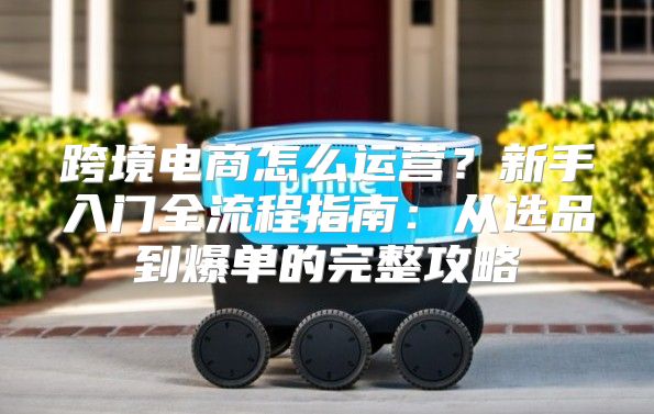 跨境电商怎么运营？新手入门全流程指南：从选品到爆单的完整攻略