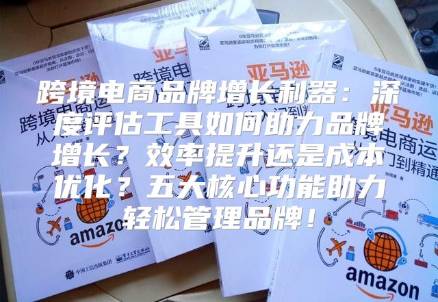 跨境电商品牌增长利器：深度评估工具如何助力品牌增长？效率提升还是成本优化？五大核心功能助力轻松管理品牌！