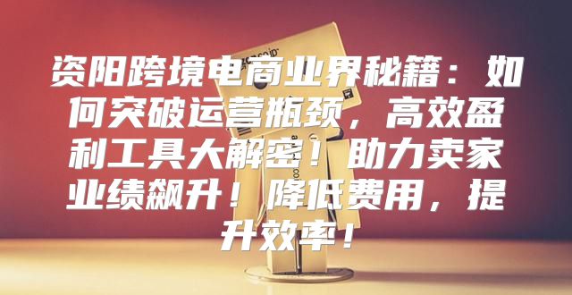 資陽跨境電商業(yè)界秘籍：如何突破運營瓶頸，高效盈利工具大解密！助力賣家業(yè)績飆升！降低費用，提升效率！