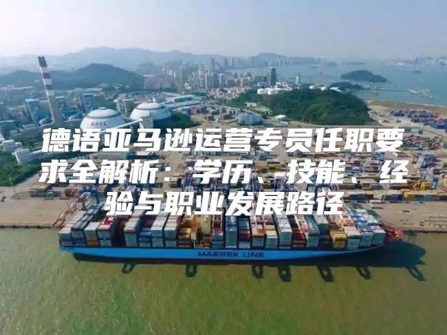 德语亚马逊运营专员任职要求全解析：学历、技能、经验与职业发展路径