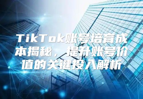 TikTok账号培育成本揭秘，提升账号价值的关键投入解析