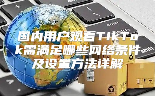 国内用户观看TikTok需满足哪些网络条件及设置方法详解