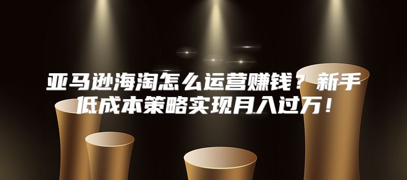 亚马逊海淘怎么运营赚钱？新手低成本策略实现月入过万！