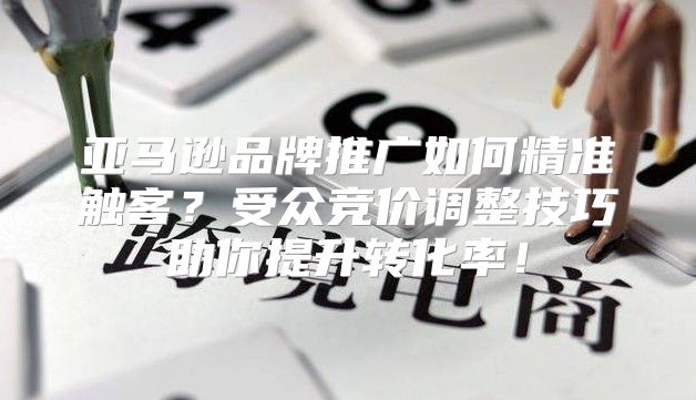 亞馬遜品牌推廣如何精準(zhǔn)觸客？受眾競價調(diào)整技巧助你提升轉(zhuǎn)化率！