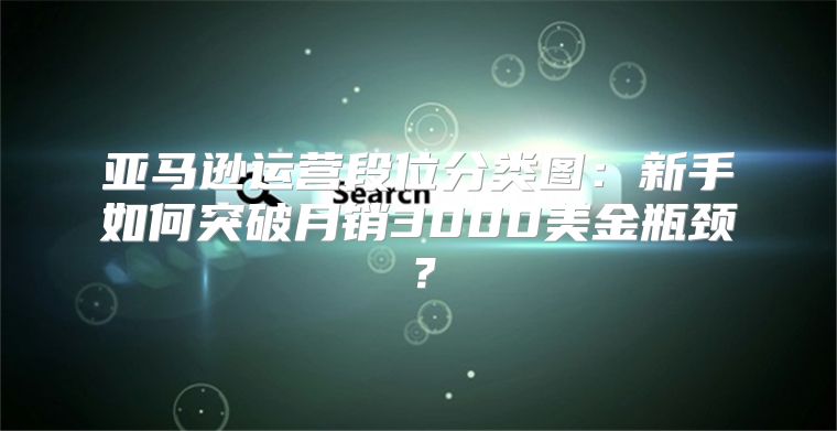亚马逊运营段位分类图：新手如何突破月销3000美金瓶颈？