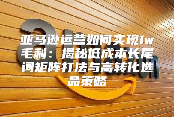 亚马逊运营如何实现1w毛利：揭秘低成本长尾词矩阵打法与高转化选品策略