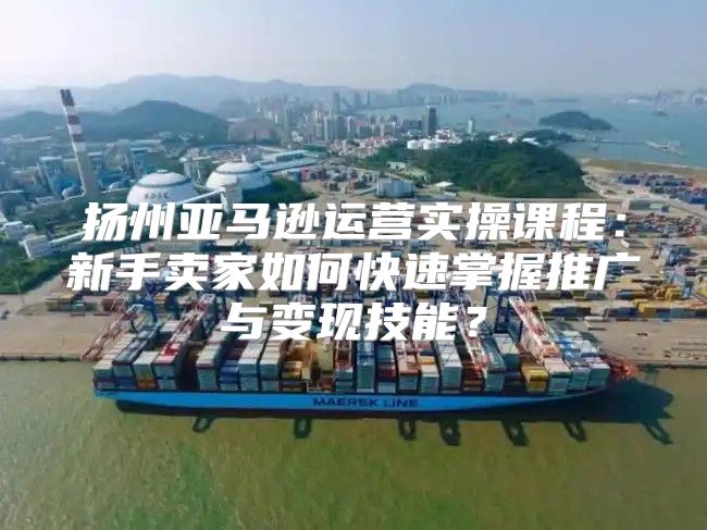 扬州亚马逊运营实操课程：新手卖家如何快速掌握推广与变现技能？
